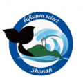 001fujisawajoshiillust01