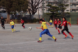 310316siminsoutai01
