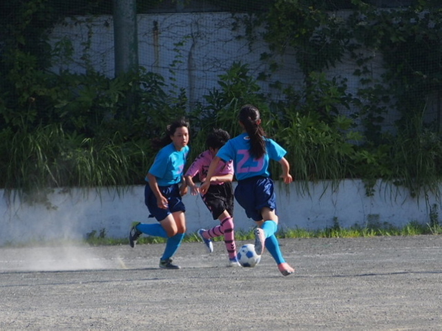 040724 shoyo 3