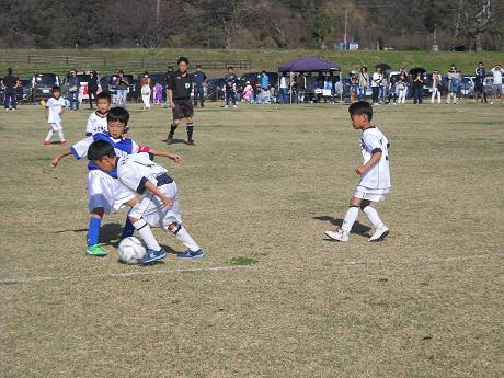 1110 6dscn0513