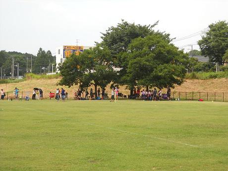 2017 21dscn0140