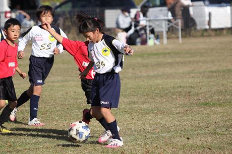 20201114 36img 7131