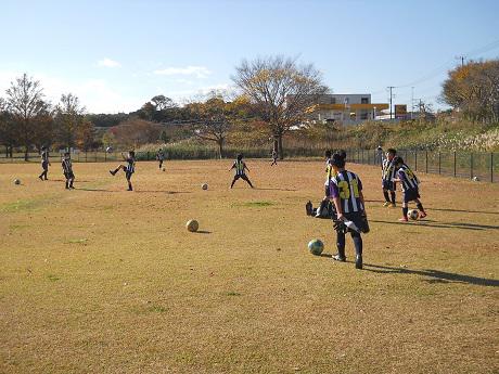 20201121 34dscn0005