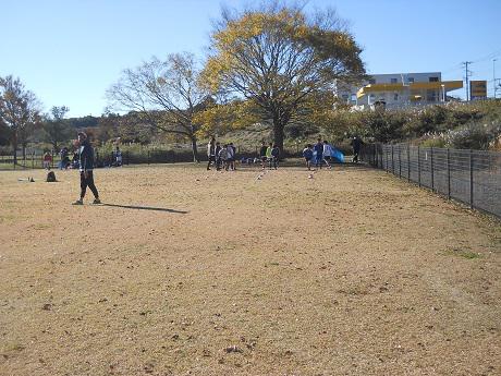 20211127 l11dscn0371