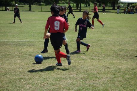20230729jyo6dsc03692