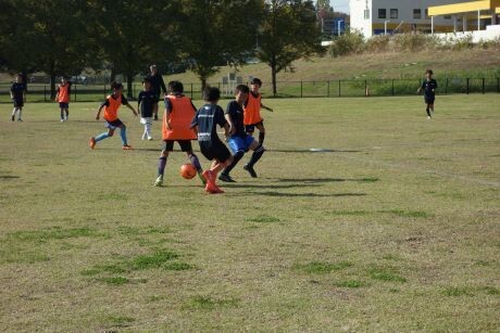 20231104 6dsc04889