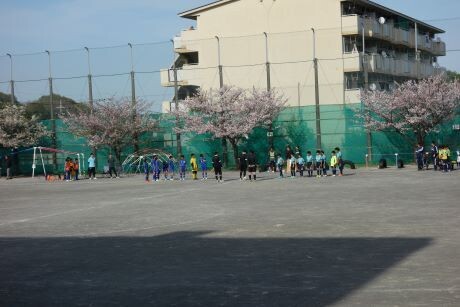 20240413komayose6 1dsc06161