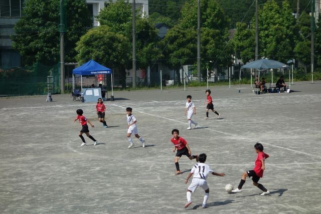 20240601koito61dsc06449