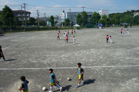 20240601koito62dsc06445
