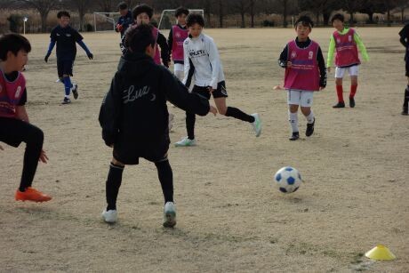 20250118u12 5dsc08339