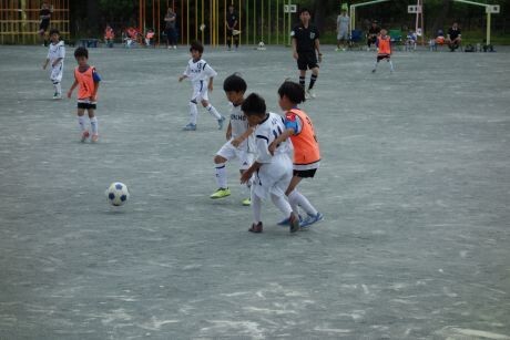 20250607hontyo31dsc09847