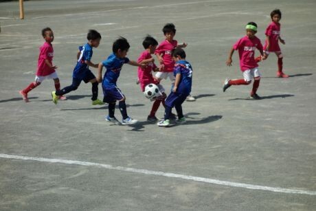 20250607tujidou31dsc09829