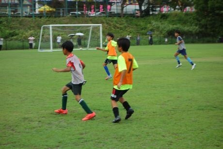 20250913senkou8dsc00595