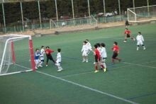 20260131akiha51dsc02229