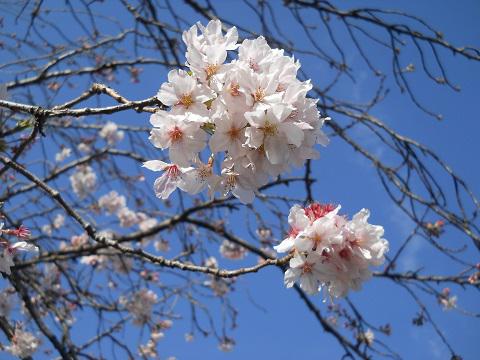 dscn0006
